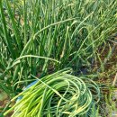 귀천농장 이미지