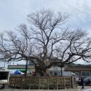 양리샘터 이미지