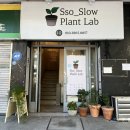 가드닝과 정원만들기 | 남포동데이트 이색체험 추천 부산가드닝클래스 테라리움 만들기 쏘슬로우플랜트랩