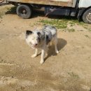 배식농장 이미지