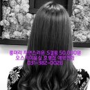 오스카미용실 이미지
