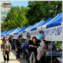 포항시민 소통문화제(연등축제 및 제등행렬) 이미지