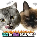 공평로 이미지