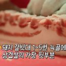 서울껍데기 이미지