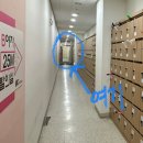 IGC글로벌캠퍼스 수영장 이미지