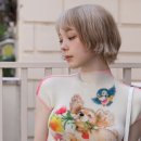 엣지퍼피 이미지