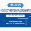 용두중학교 이미지