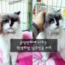 새포항주유소 이미지