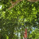 (주)제이케이마린수산 | [호주 시드니1,2,3] 시드니타워/ 지그재그 블루마운틴투어/ 시드니ZOO/ 록스맥주/ 시드니 맥주집/시드니...