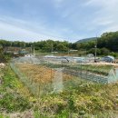 (주)양평수도
