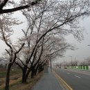 전매청 이미지