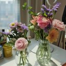 장기동농협 이미지