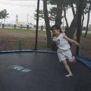 하조대캠핑카 이미지