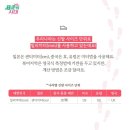신발나라 이미지