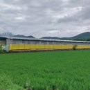 강동로5-4 이미지