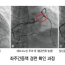 닥터K동물병원 이미지