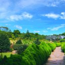 카멜리아힐 이미지