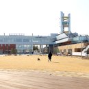 반려동물 테마파크 이미지