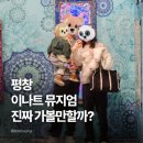 서해다이브 | 평창이나트뮤지엄 가기 전 꼭 보세요, 2026 모나용평이나트 입장료·주차 총정리