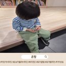 "등원 준비 전쟁 끝"｜아이들이 스스로 찾는 로보카 폴리 비타D+ 후기