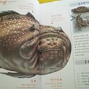 감전 태권도 이미지