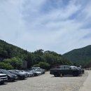 혜선목장 | 남해양떼목장 양마르뜨언덕 ㅣ 남해여행 ㅣ 남해가볼만한곳 ㅣ 내돈내산 ㅣ