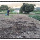 백평한의원 이미지