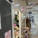 라포즈플라워 이미지
