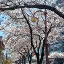 팔보마라탕 네이버블로그