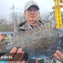 영등라인1 이미지