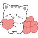 예뻐질고양 이미지