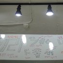 혼자두면 장판뜯어서 차린 개카페 이미지