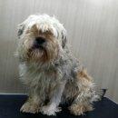 이성준동물병원 이미지