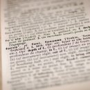 로뎀국제 행정사사무소 이미지