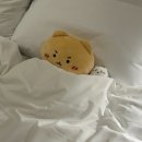 메가오락실 노원점 | 침대랑 멀어지기 2주차