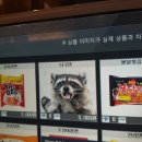 너구리PC방 이미지