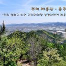 부여(홍산)-04 이미지