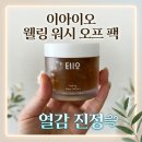 이아이오 웰링 워시 오프 팩 피부 열감 진정엔 역시 이게 정답