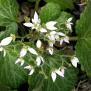 봄소아청소년과의원 이미지