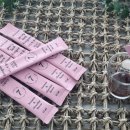 쇼콜라대신점 | 지친 나를 위한 달콤한 보상! '구디럭' 홍삼 바나나 쇼콜라 맛 찐 후기