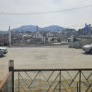 샘재로 1 | [이천/장호원] 애견동반 완벽한 바베큐! '내추럴그라스' 솔직 후기