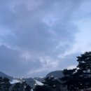 몬스터샵 - 성북구 고려대로11길 56 | 몬스터샵