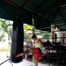 타이거짐복싱클럽 이미지