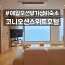 애월펜트하우스 | 제주도애월가성비숙소 코니오션스위트호텔, 돌고래 떼 볼 수 있는 숙소?
