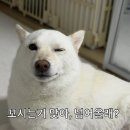 아사리판