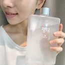 링티 효능 가격 먹는법 솔직 후기 카페인 대체 음료 찾았다