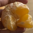 (주)헤파토 | 주간일기 실패한 먼지 쌓인 10월로그 !