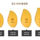 대전진 이미지