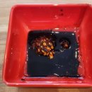 약사초등학교 | 복산동마라탕 맛집 울산 중구청 근처 마라장인마라탕 중구점