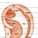 셀비오 네이버블로그